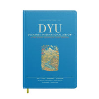 Thumbnail for Dushanbe International Airport DYU - Turquoise