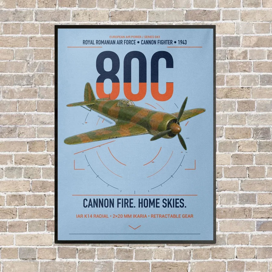 IAR 80C vertical canvas print - framed - light blue background