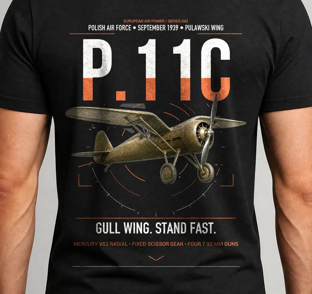 pzl-p-11c-gifts-gull-wing-stand-fast - Cover