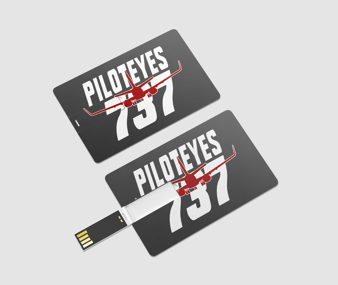 Amazing Piloteyes737 Designed USB Cards