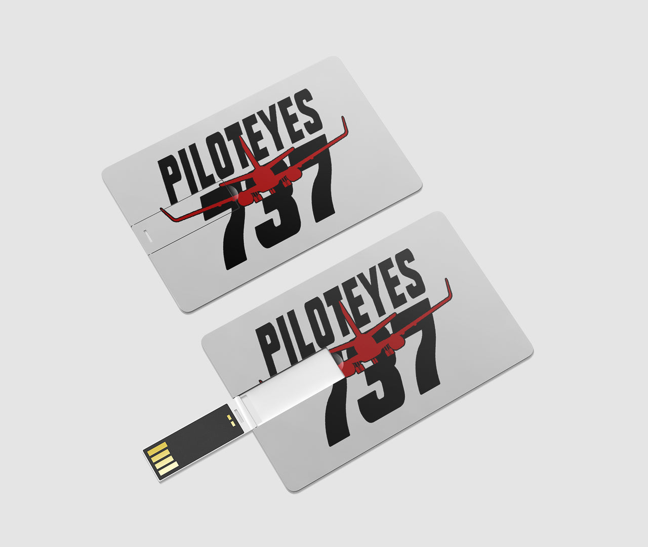 Amazing Piloteyes737 Designed USB Cards