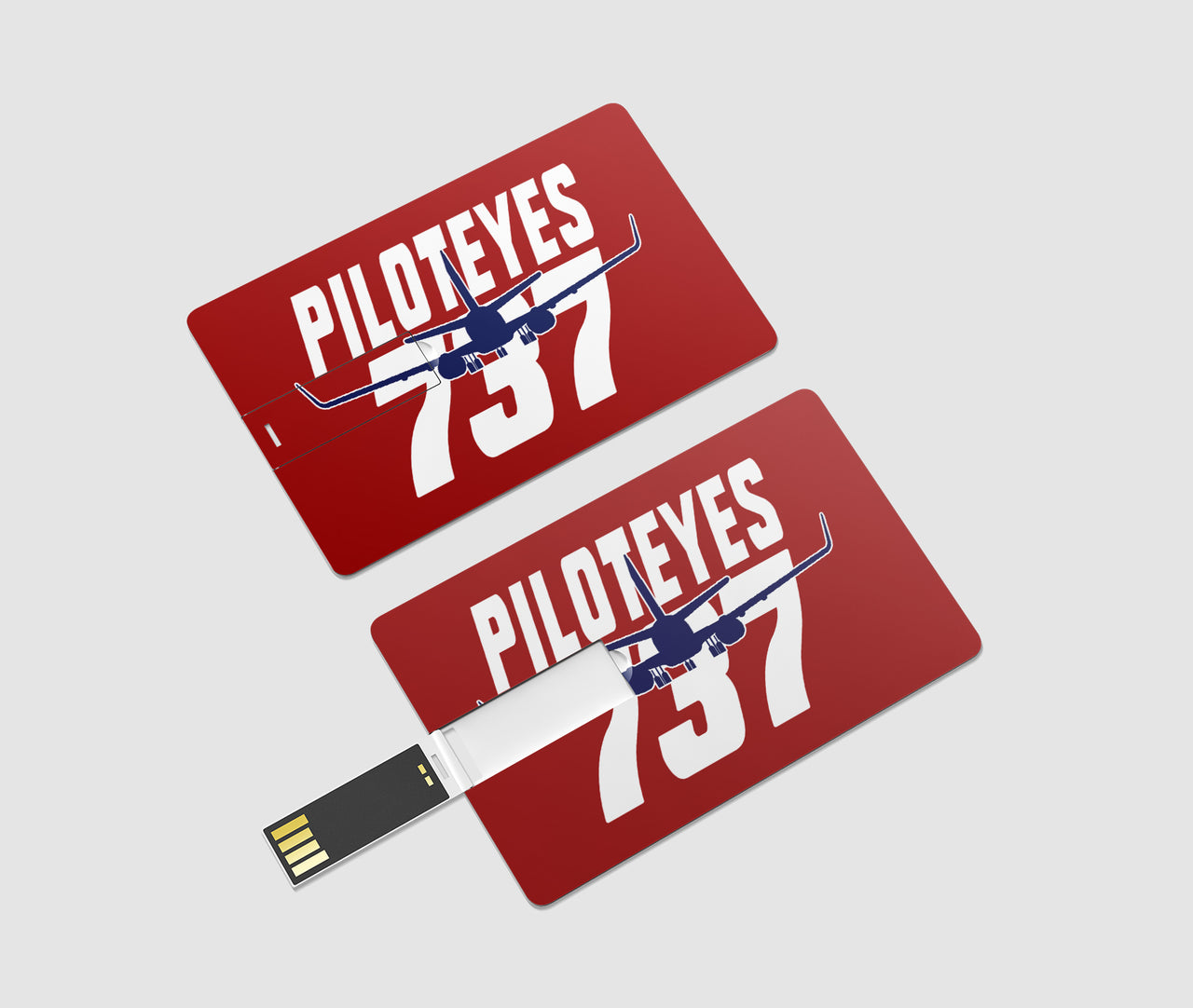 Amazing Piloteyes737 Designed USB Cards