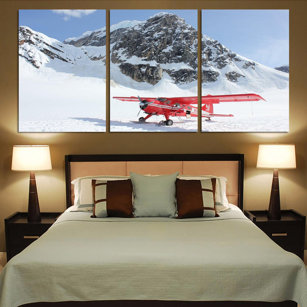 Amazing Snow Airplane Printed Canvas Posters (3 Pieces) Aviation Shop 