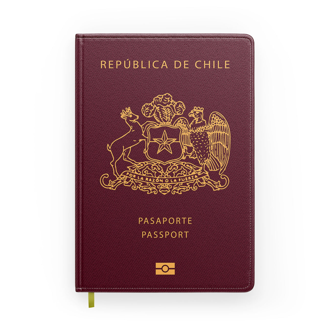 Chile Passport Designed Notebooks