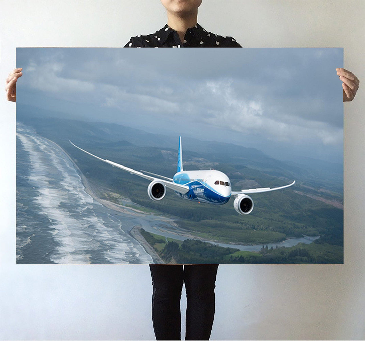 Cruising Boeing 787 Printed Posters Aviation Shop 