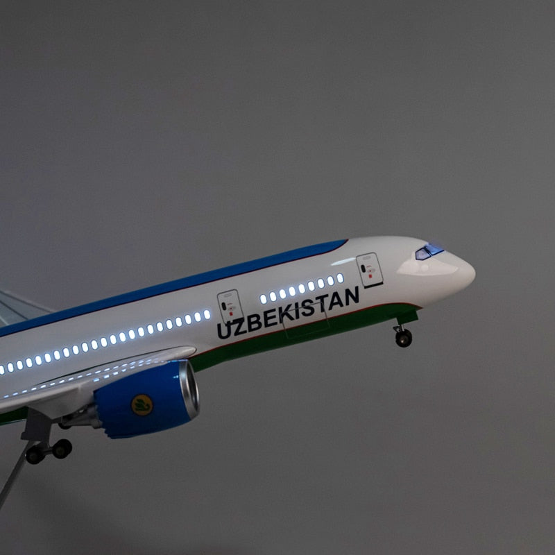 Customisable Boeing 787 Model Airplane - view 5