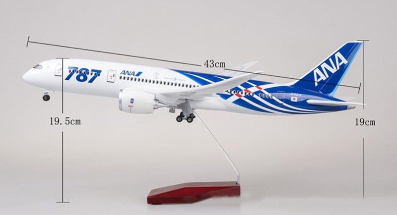 Japan ANA Airlines Boeing 787 Airplane Model (1/130 Scale)