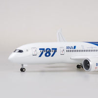 Thumbnail for Japan ANA Airlines Boeing 787 Airplane Model (1/130 Scale)