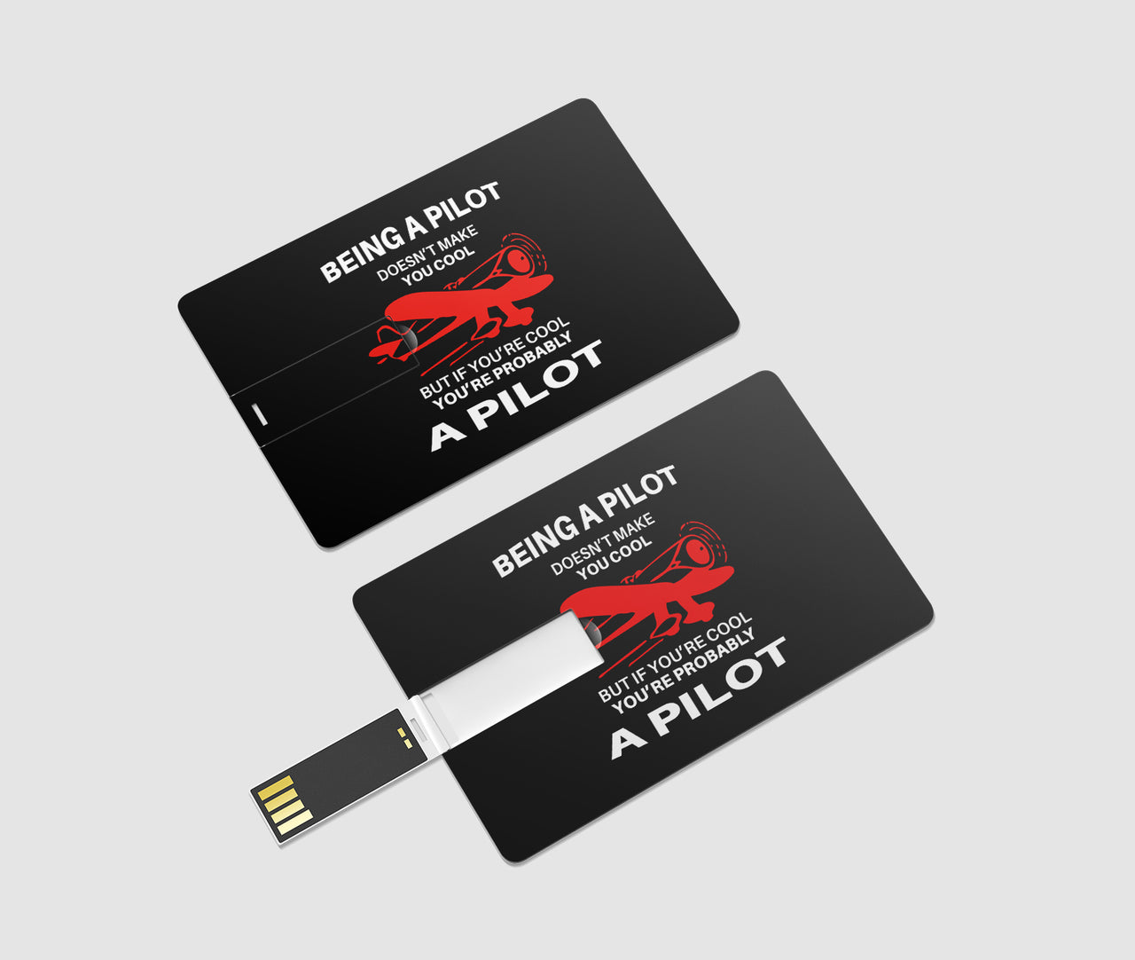 If You're Cool You're Probably a Pilot Designed USB Cards