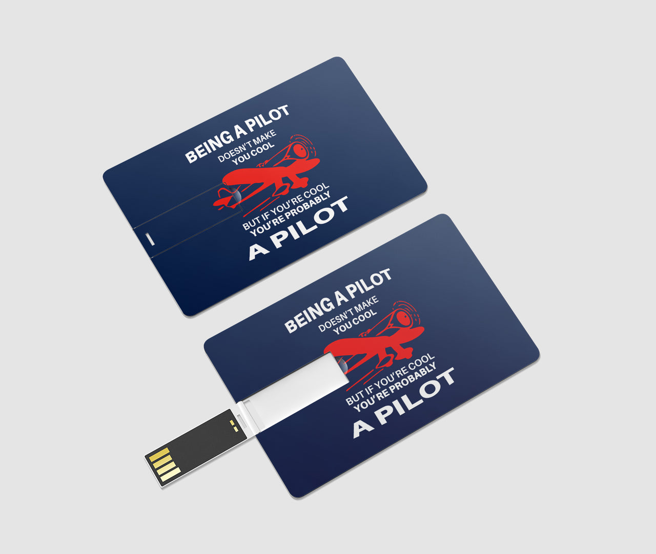 If You're Cool You're Probably a Pilot Designed USB Cards