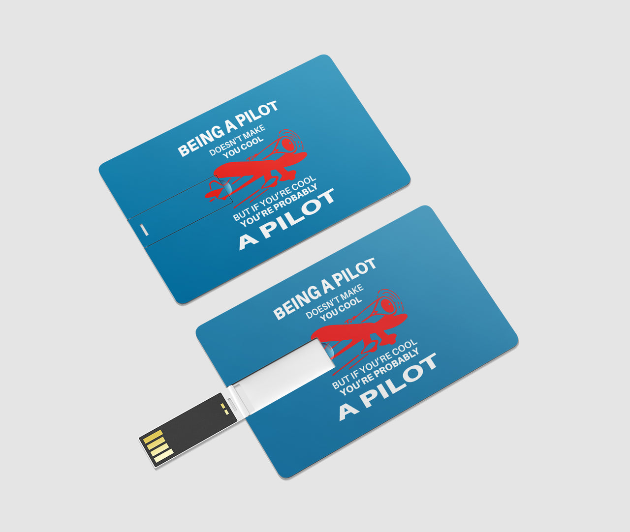 If You're Cool You're Probably a Pilot Designed USB Cards