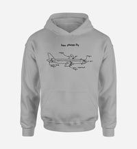 Thumbnail for How Planes Fly Designed Hoodies