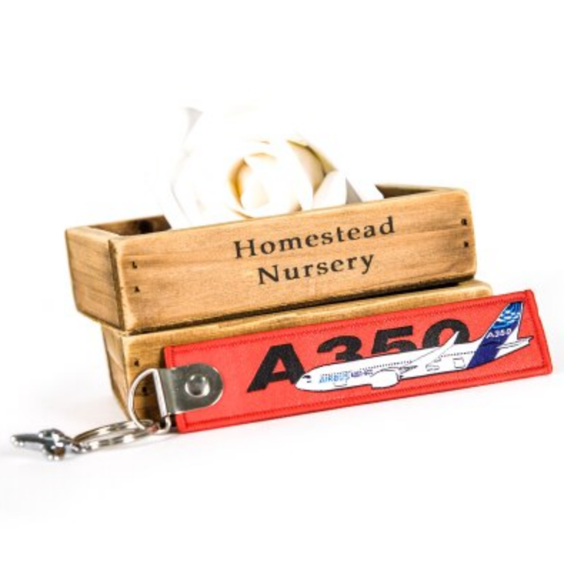 Colourful Airbus A350 Designed Key Chains