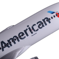 Thumbnail for American Airways Boeing 787 Airplane Model (Special Model 43CM)