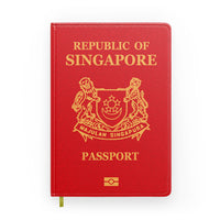Thumbnail for Singapore Passport Designed Notebooks