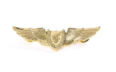 Golden Wings aviation print badge, polished metal.