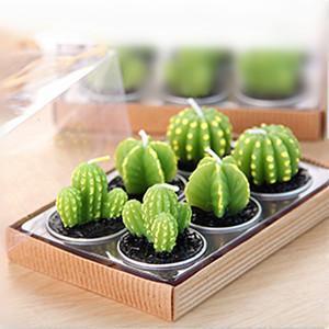 Home Decor Mini Cactus Candles