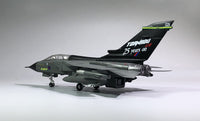 Thumbnail for 1/100 Scale RAF Panavia Tornado GR4 Fighter Airplane Model