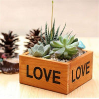 Thumbnail for Rustic Natural Wooden Succulent Box